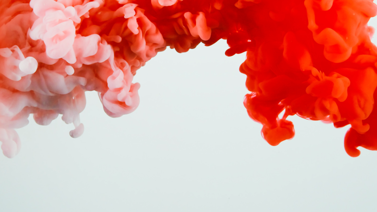 Red and white ink unfolding in water